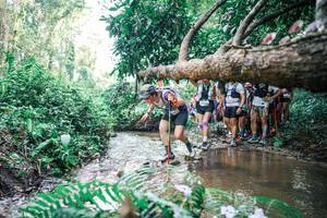 BIB: 
                            <button type="button" onclick="openModal(25472447)" class="btn btn-primary btn-sm float-right btn-popup" data-toggle="modal" data-target=".modal-high-quality">
                        <i class="fas fa-shopping-cart"></i> Add to Cart
                    </button>
                                            <button type="button" onclick="isThisMe(25472447, true)" class="btn btn-success btn-sm float-right btn-popup btn-isme hidden" data-toggle="tooltip" data-placement="bottom" title="นี่คือรูปของคุณใช่ไหม คลิกที่นี่เพื่อเอาเข้าอัลบั้ม">
                        <i class="fas fa-plus"></i> Add to album
                    </button>
                    <button type="button" onclick="isThisMe(25472447, false)" class="btn btn-warning btn-sm float-right btn-popup btn-isnotme hidden">
                        <i class="fas fa-ban"></i> Remove from album
                    </button>